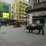 Premium Square